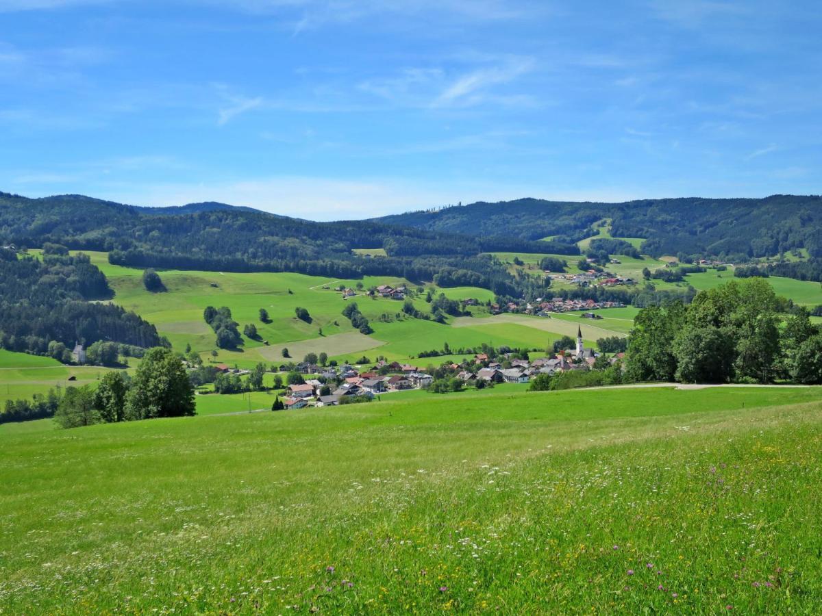 Apartment Waldfrieden By Interhome Oberwang Bagian luar foto
